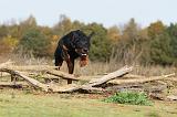 BEAUCERON 368